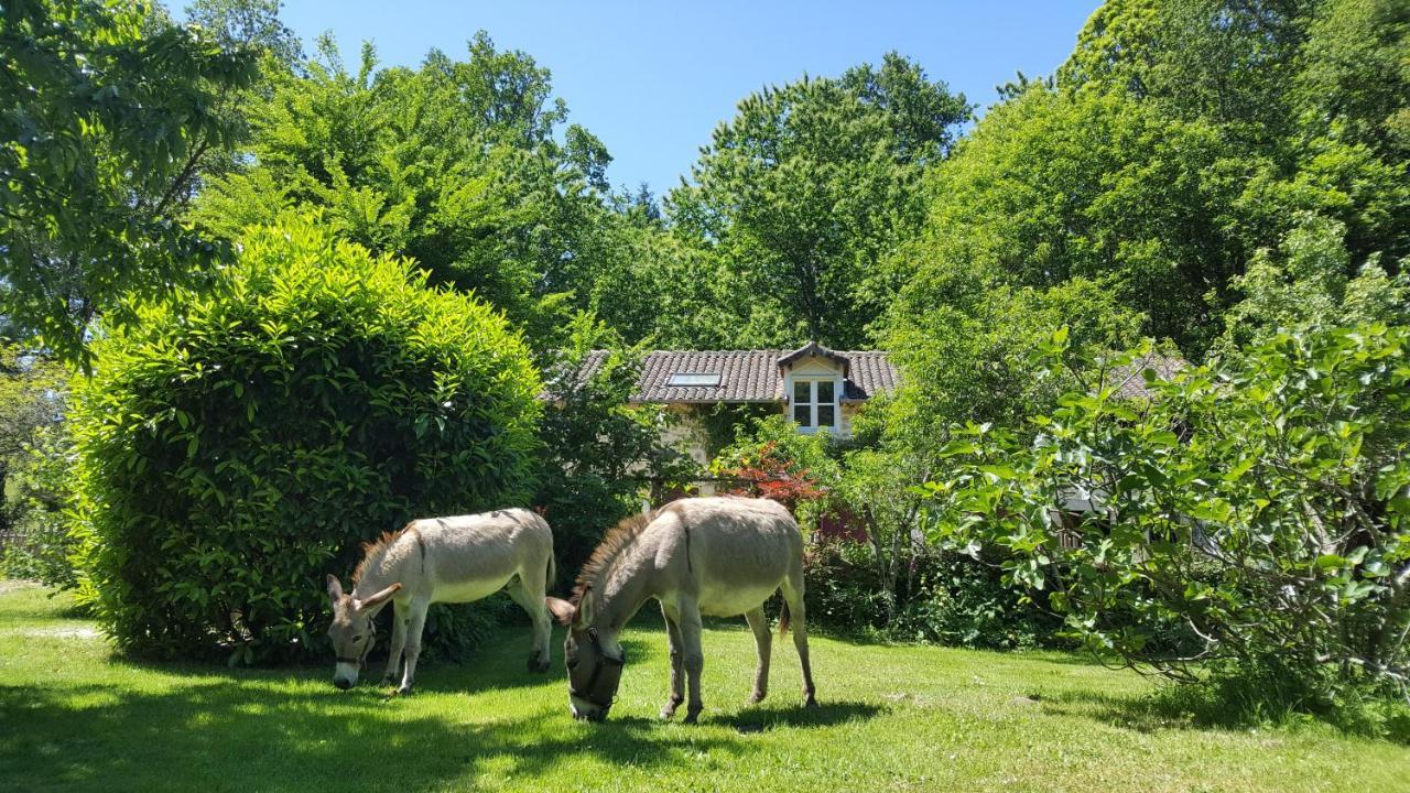 Le Moulin De Pensol - Gites 외부 사진
