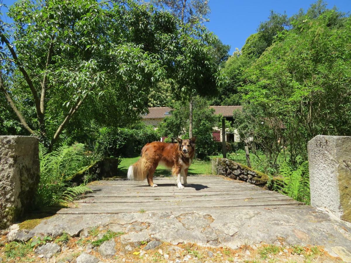 Le Moulin De Pensol 빌라 외부 사진